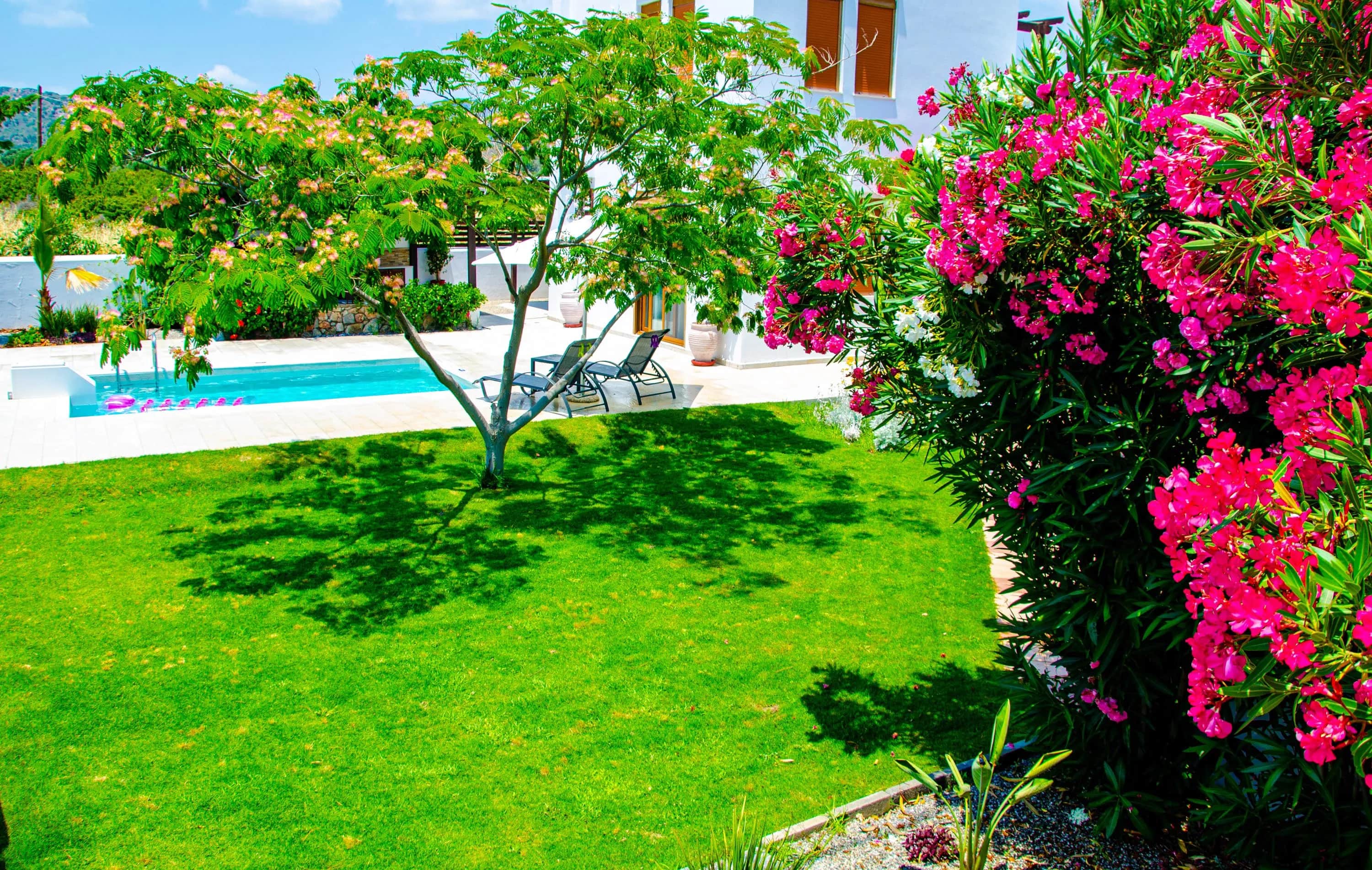 Evilion Villa  — photo 4