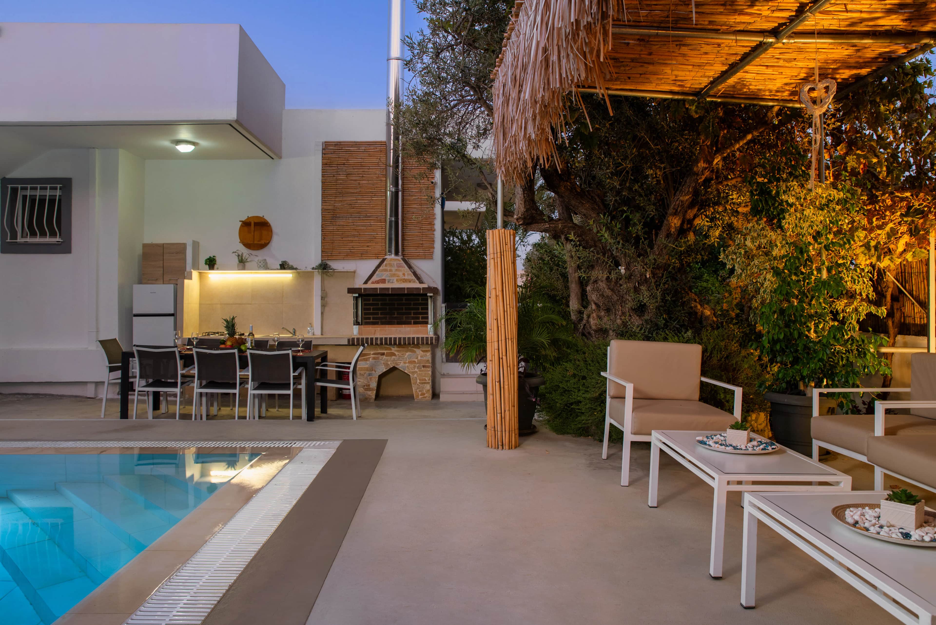 Amazing Summer Villa  — photo 2