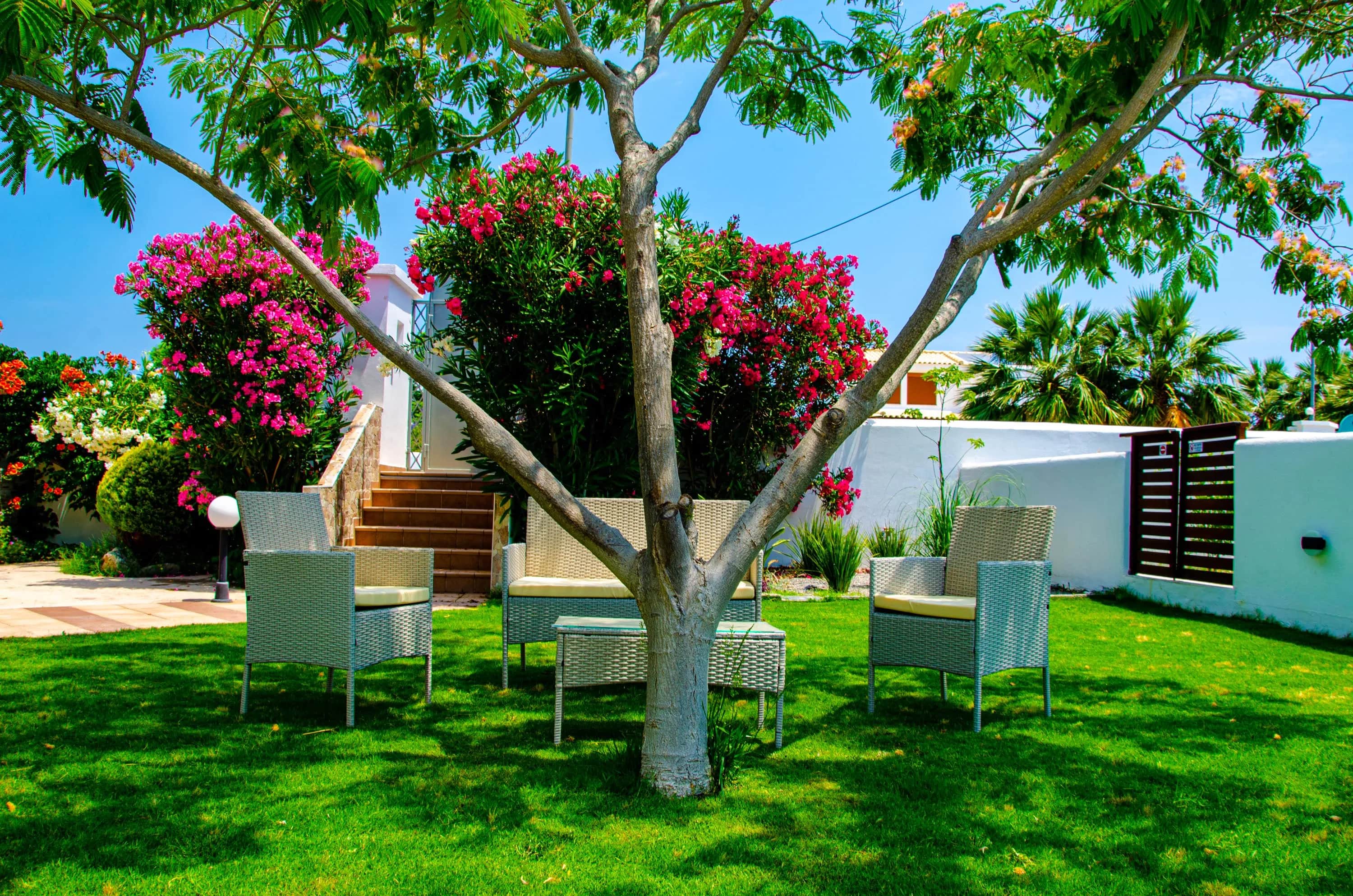 Evilion Villa  — photo 5