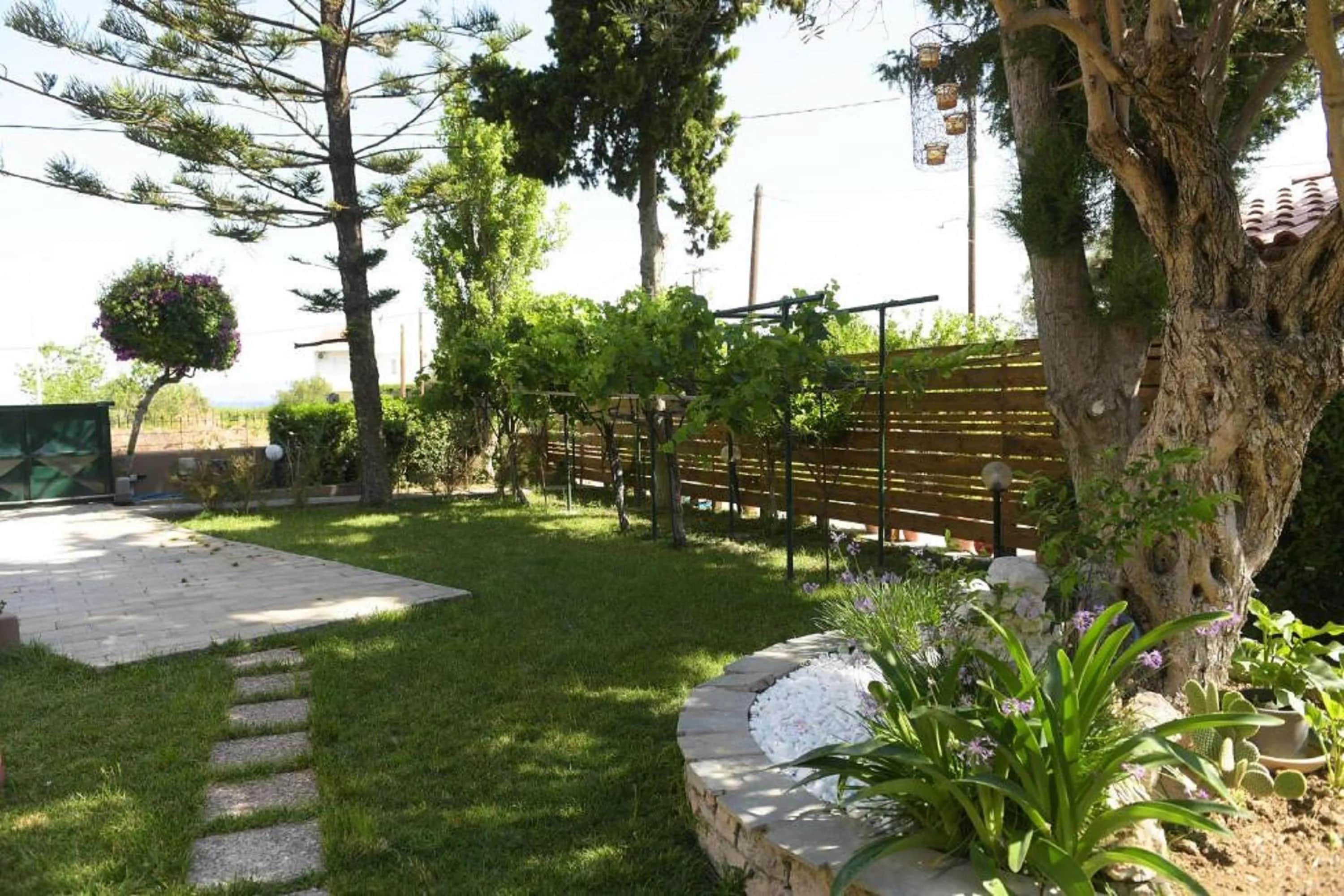 Kiparisia Villa — photo 4