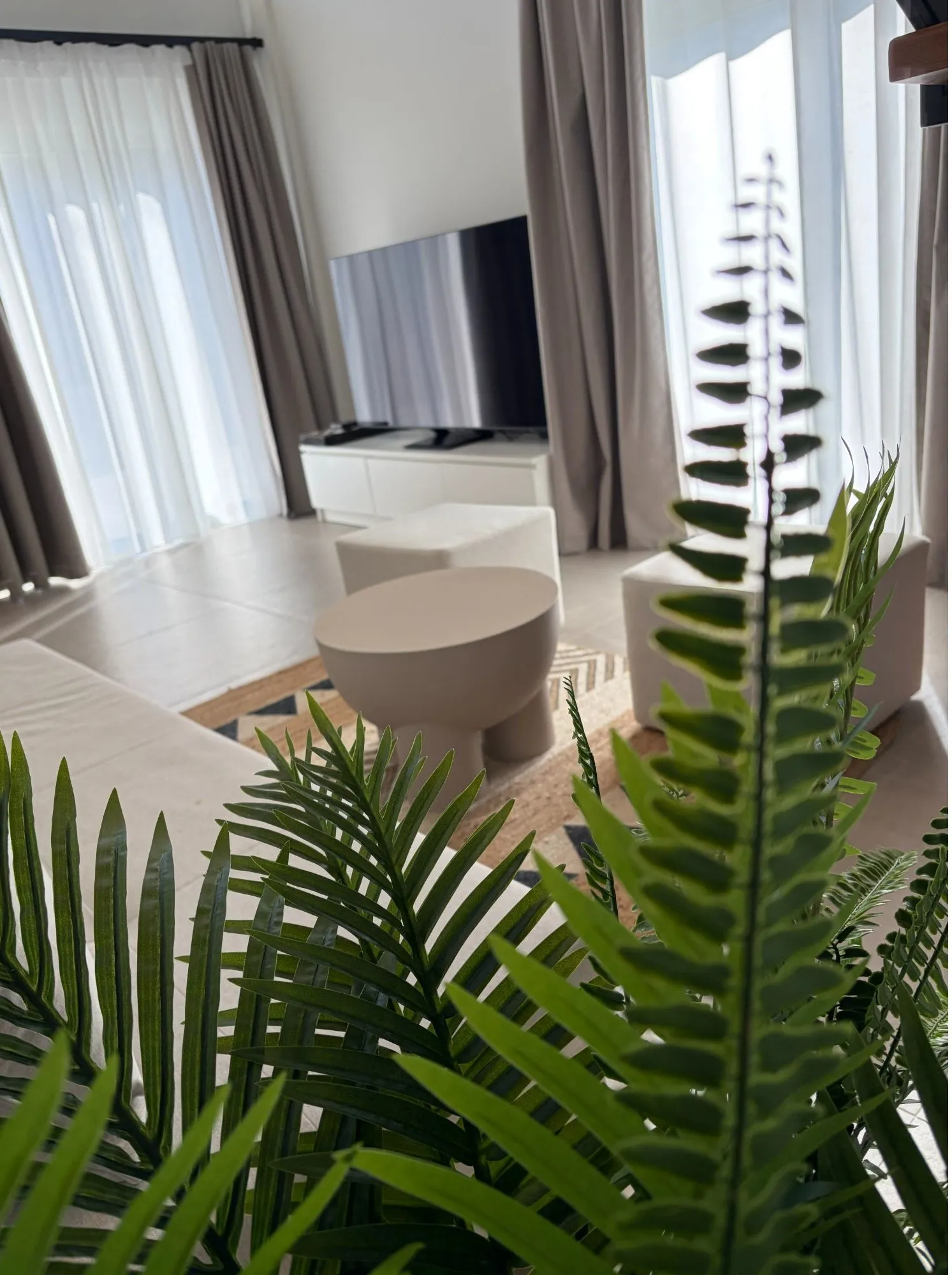 Casa Sentido — photo 5