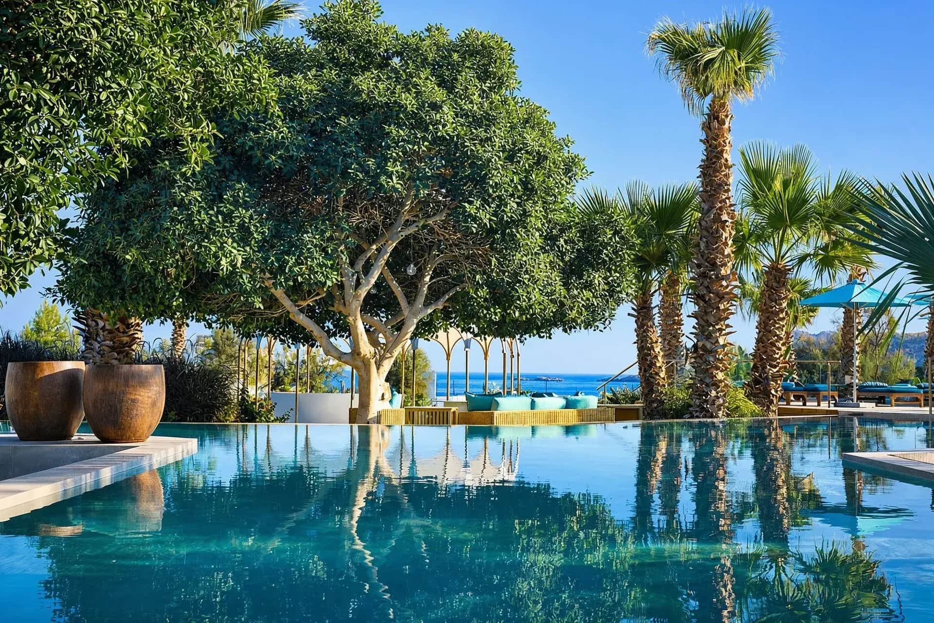 An infinity pool framed by a mature fig tree and palms, reflecting the sky and opening onto the Aegean sea.